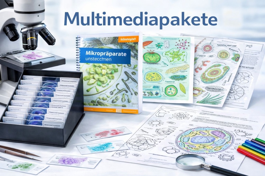 Multimediapakete Multimediapakete
