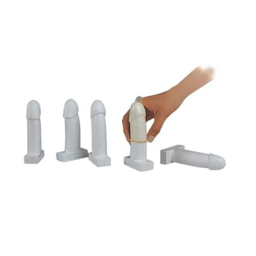 Kondom-Übungsmodelle, Penismodelle aus Styropor