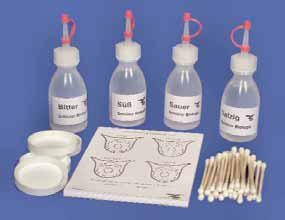 Geschmackstest-Kit