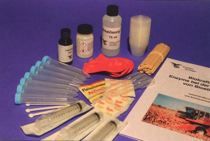 Biokraftstoffe, Enzyme bei der Herstellung von Bioethanol