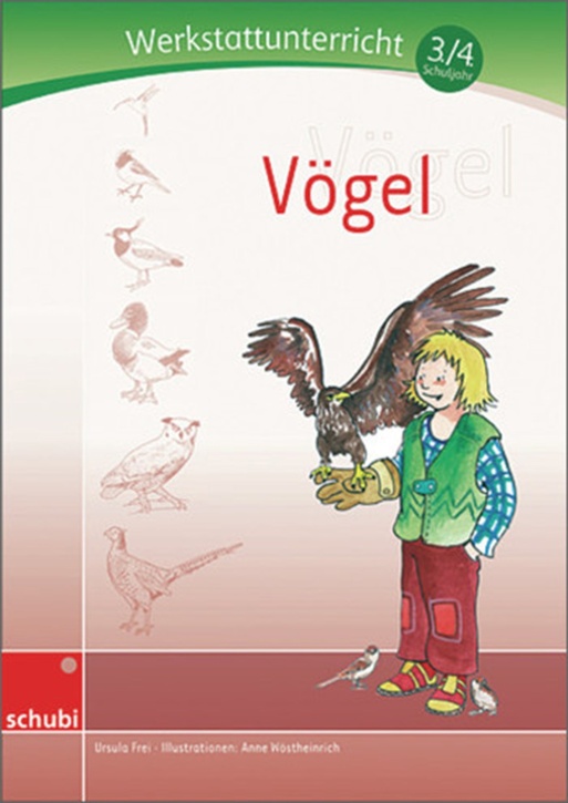 Vögel - Werkstatt