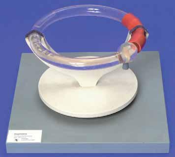 Funktionsmodell, Gleichgewichtsorgan, Bogengang