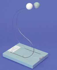 Modell Vergleich der Wirbelsäulen