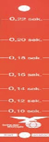 Meßstäbe, 15 Stück mit Kopiervorlage