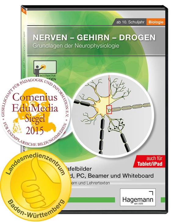 Interaktive Tafelbilder Nerven-Gehirn-Drogen tabletfähig, Schullizenz