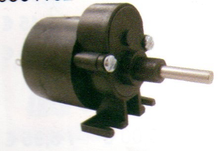 Motor RE 260 mit Getriebe