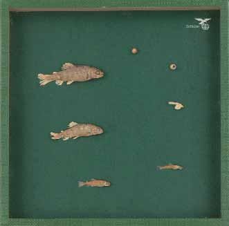 Objektkasten Forelle, Entwicklungsphasen Objektkasten Forelle, Entwicklungsphasen