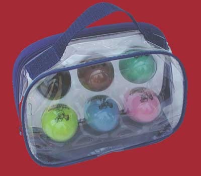 Schütteleier, 6 Stück in Plastiktasche