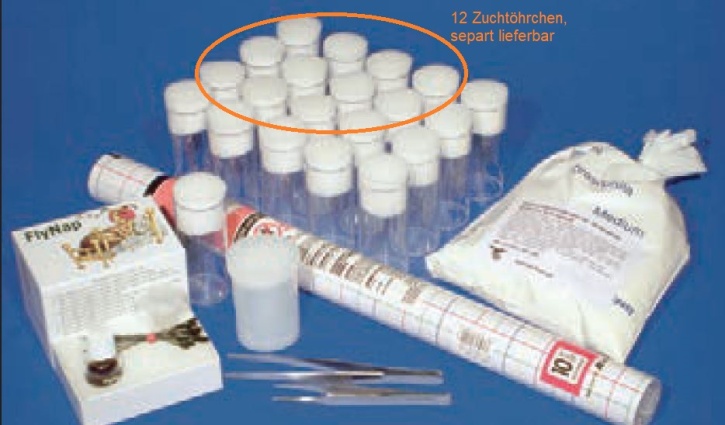 Zuchtröhrchen für Drosophila-Kulturen, 12 Stück