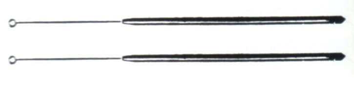 Ergänzungsbedarf zur Bakteriologie: Impfösen, 2 Stück