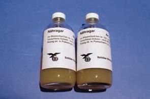 Ergänzungsbedarf zur Bakteriologie: Weiterzucht auf Nähragar, 2 x 125g