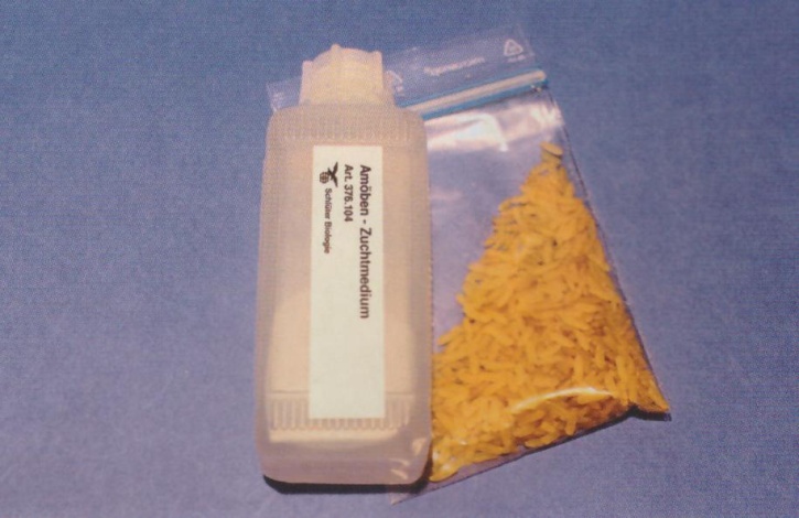 Beobachtungs- und Nährmedien für Einzeller: Amöben - Zuchtmedium