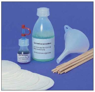 Experimentier-Kit: DNA-Extraktion aus der Banane