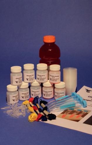 Experimentier-Kit: DNA-Gewinnung