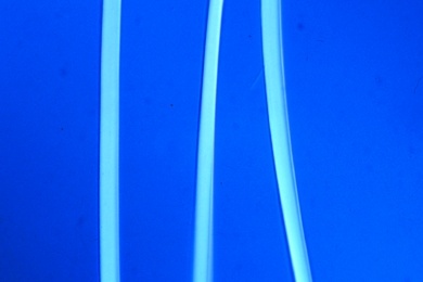 Mikropräparat - Polyamid-Fasern