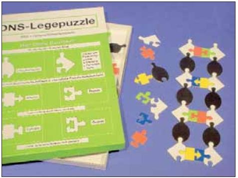 DNA-Modell: DNS Legepuzzle