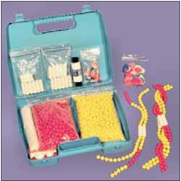 DNA-Modell: Chromosomen-Simulation