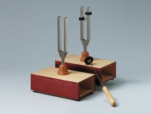 Paar Stimmgabeln auf Resonanzkästen