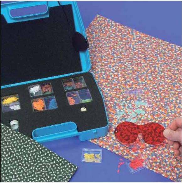 Evolutionsspiel, erweiterte Ausführung