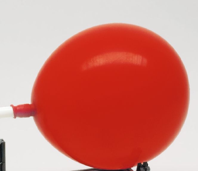 Luftballons (12 Stück)