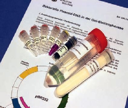 Experimentierkit Bakterielle Plasmid-DNA in der Gel-Elektrophorese Experimentierkit Bakterielle Plasmid-DNA in der Gel-Elektrophorese