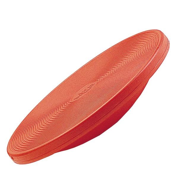 Gym-Top Therapie-Kreisel