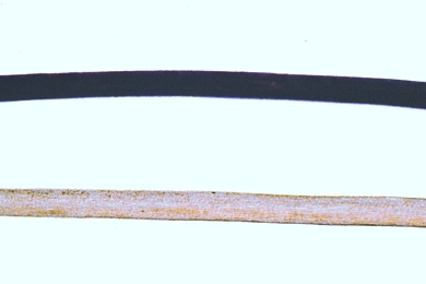 Mikropräparat - Naturblonde und naturschwarze Haare