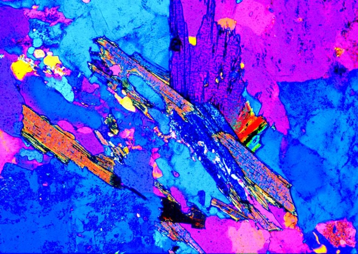 Gneis, Gesteinsdünnschliff Dauerpräparat