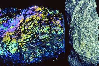 Steinkohle, Gesteinsdünnschliff Dauerpräparat