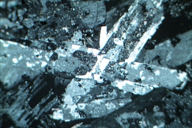 Syenit, Gesteinsdünnschliff Dauerpräparat aus Serie III