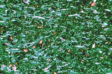 Basalt, Gesteinsdünnschliff Dauerpräparat