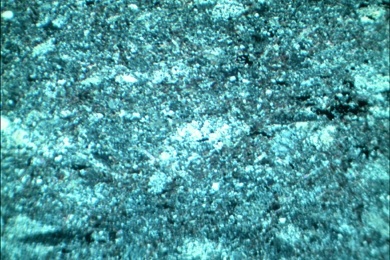 Schiefer, Gesteinsdünnschliff Dauerpräparat