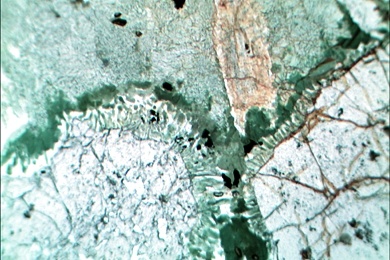 Eklogit mit Coronitisation Halos, Gesteinsdünnschliff Dauerpräparat