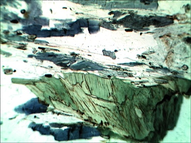 Glimmerschiefer mit Glaukophan, Gesteinsdünnschliff Dauerpräparat