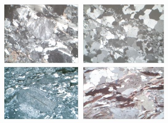 Gesteinsdünnschliffe Serie IV, 29 Dauerpräparate