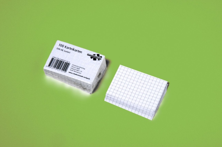 Karteikarten kariert (Set mit 100 Karten) Karteikarten kariert (Set mit 100 Karten)