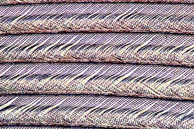 Mikropräparat - Schwungfeder vom Vogel, total