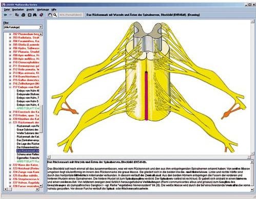 Nervensystem und Informationsübertragung Teil I, Interaktive CD-ROM Nervensystem und Informationsübertragung Teil I, Interaktive CD-ROM