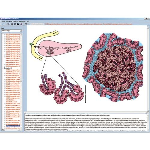 Hormone, Hormonsysteme und Steuerung, Interaktive CD-ROM Hormone, Hormonsysteme und Steuerung, Interaktive CD-ROM
