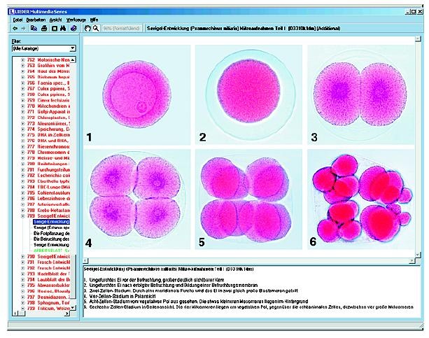 Zellenlehre und Molekularbiologie, Interaktive CD-ROM