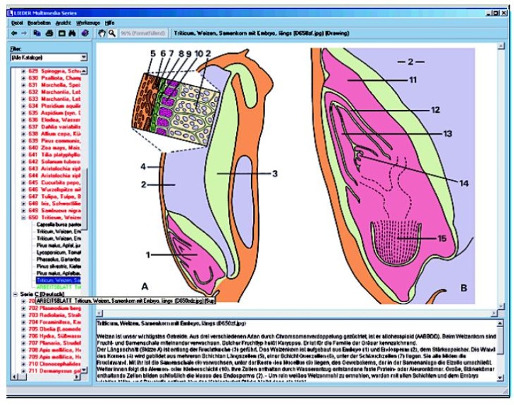 Mendelsche Gesetze, Modifikation und Mutation, Interaktive CD-ROM