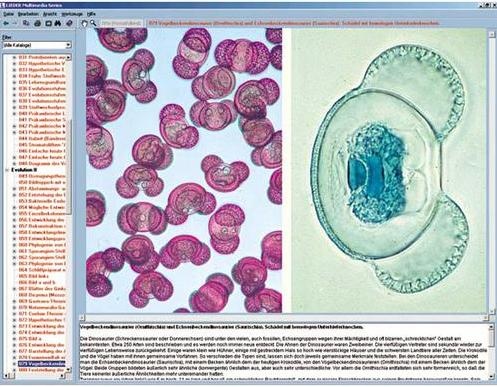 Der Wald als Lebensraum, Interaktive CD-ROM