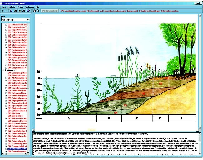 Biotope und Ökosysteme, Interaktive CD-ROM Biotope und Ökosysteme, Interaktive CD-ROM