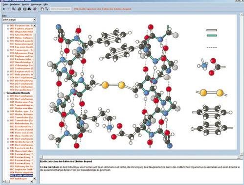 Die Struktur der Materie Teil I: Grundlagen, Interaktive CD-ROM Die Struktur der Materie Teil I: Grundlagen, Interaktive CD-ROM