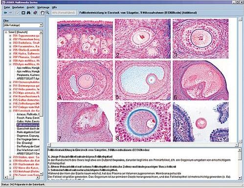 Histologie des Menschen und der Säugetiere: Interaktive CD-ROM Histologie des Menschen und der Säugetiere: Interaktive CD-ROM
