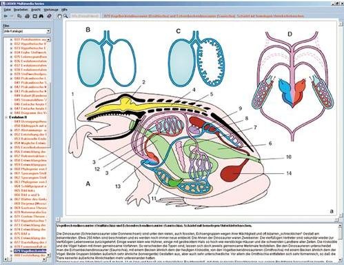 Tierkunde im Unterricht, Interaktive CD-ROM