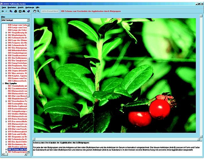 Heil- und Giftpflanzen, Interaktive CD-ROM
