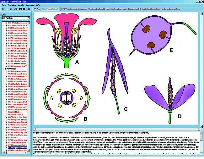 Die Biologie der Blüten und Früchte, Interaktive CD-ROM