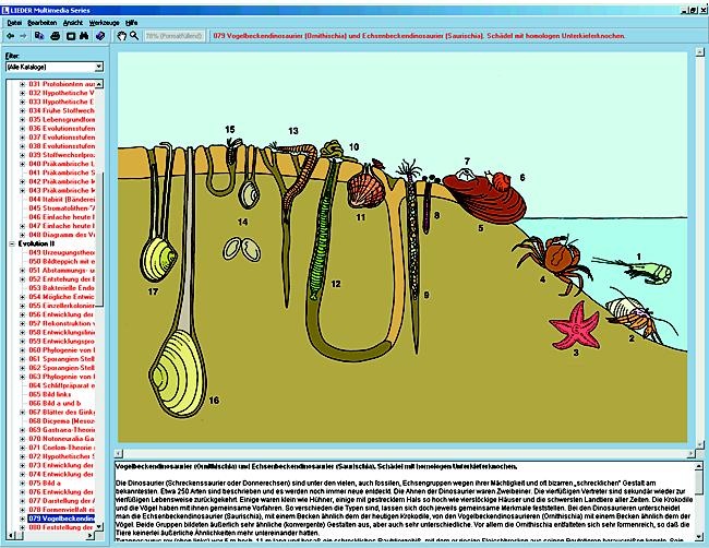 Das Leben im Wasser, Interaktive CD-ROM Das Leben im Wasser, Interaktive CD-ROM