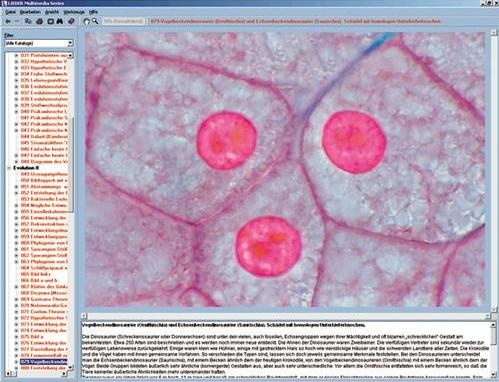 Das Wunder der Tierzelle, Interaktive CD-ROM